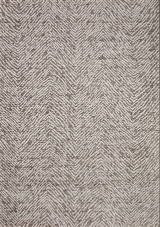 Loloi II Vance VAN-10 Taupe / Dove Area Rug main image