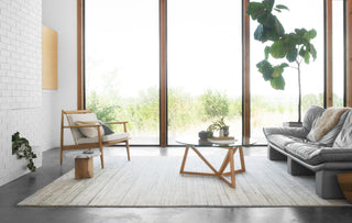 Loloi Vaughn VG-01 Ivory Area Rug Lifestyle Image Feature