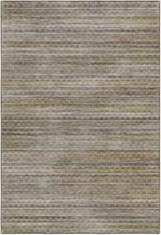 Dalyn Vico VC6 Gray Area Rug main image