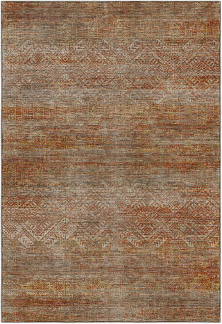 Dalyn Vico VC8 Paprika Area Rug main image