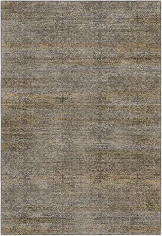 Dalyn Vico VC9 Graphite Area Rug main image
