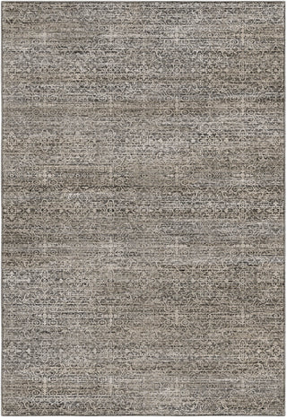 Dalyn Vico VC9 Silver Area Rug main image