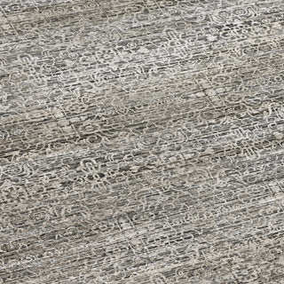 Dalyn Vico VC9 Silver Area Rug Swatch Image