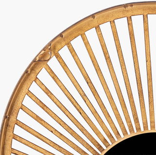 Surya Vision VIS-001 Detail