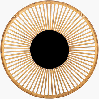 Surya Vision VIS-002 Detail