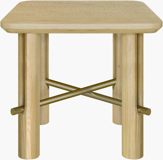 Surya Valdo VLDO-001 Clear / Metallic-Brass Furniture Angle