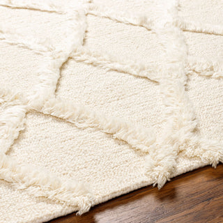 Surya Valery VLY-2301 Area Rug Detail