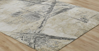 Ancient Boundaries Fortune FOR-1393 Sand/Grey Area Rug Floor Image