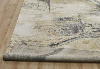 Ancient Boundaries Fortune FOR-1393 Sand/Grey Area Rug Closeup Image