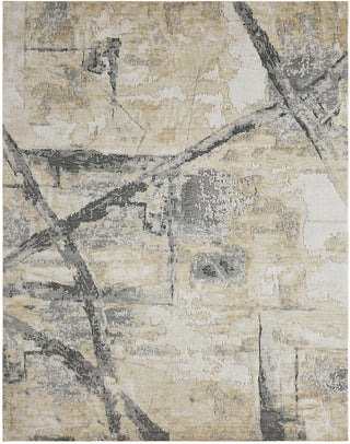 Ancient Boundaries Fortune FOR-1393 Sand/Grey Area Rug Main Image