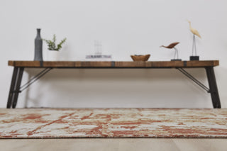 Ancient Boundaries Fortune FOR-1397 Rust/Sand Area Rug Alternative Image