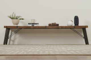 Ancient Boundaries Fortune FOR-1403 Area Rug Alternative Image