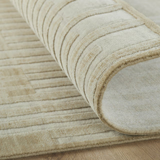 Ancient Boundaries Fortune FOR-1403 Area Rug Alternative Image