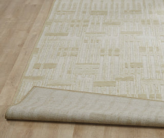 Ancient Boundaries Fortune FOR-1403 Area Rug Closeup Image