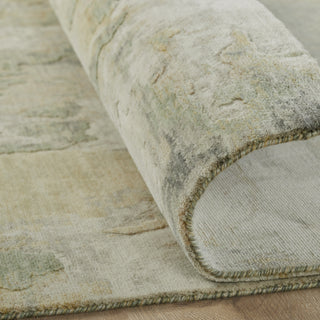 Ancient Boundaries Fortune FOR-1406 Area Rug Alternative Image