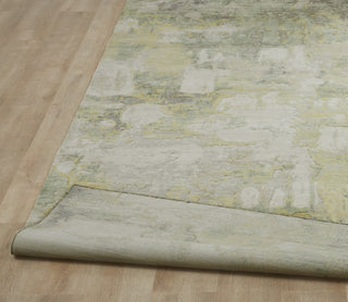 Ancient Boundaries Fortune FOR-1406 Area Rug Closeup Image
