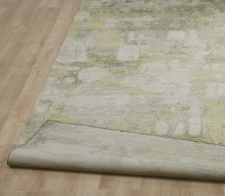 Ancient Boundaries Fortune FOR-1406 Area Rug Closeup Image