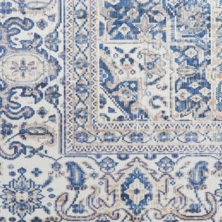 Nourison Vintage Home VNH01 Beige Blue Area Rug by Swatch Image