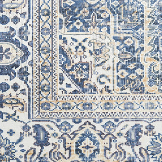 Nourison Vintage Home VNH01 Blue Area Rug by Swatch Image