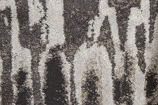 Feizy Vancouver 39FIF Gray/Charcoal Area Rug