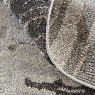 Feizy Vancouver 39FIF Gray/Charcoal Area Rug