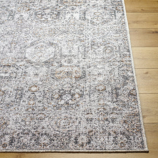 Livabliss Vinny VNY-2309 Area Rug