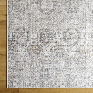 Livabliss Vinny VNY-2309 Area Rug