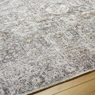 Livabliss Vinny VNY-2309 Area Rug