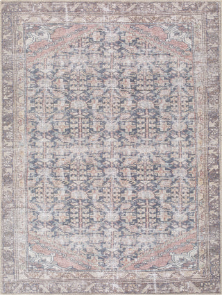 Livabliss Vinny VNY-2315 Machine Washable Area Rug by Surya 5 X 8