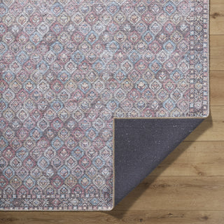 Livabliss Vinny VNY-2319 Machine Washable Area Rug by Surya Pile
