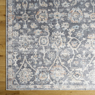 Livabliss Eleni VVEL-2300 Area Rug by Vivir