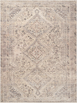 Livabliss Eleni VVEL-2301 Area Rug by Vivir