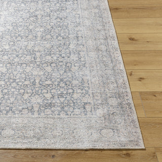 Livabliss Lorelai VVLO-2304 Area Rug by Vivir