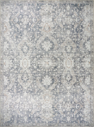 Livabliss Lorelai VVLO-2305 Area Rug by Vivir