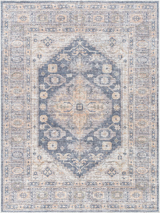 Livabliss Lorelai VVLO-2306 Area Rug by Vivir