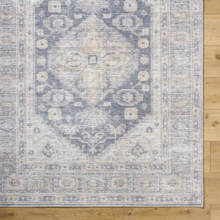 Livabliss Lorelai VVLO-2306 Area Rug by Vivir