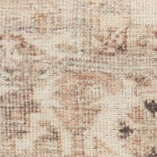 Nourison Vintage Washables VWS17 Beige Area Rug Corner Image