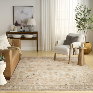 Nourison Vintage Washables VWS17 Beige Area Rug Swatch Image