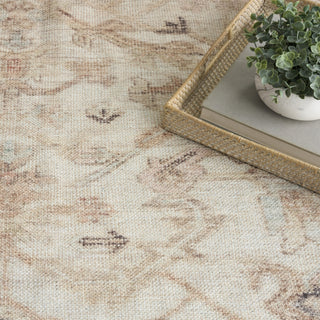 Nourison Vintage Washables VWS17 Beige Area Rug Texture Image
