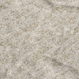 Dalyn Voyage VY2 Beige Machine Washable Area Rug Swatch Image