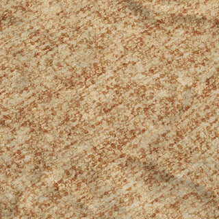 Dalyn Voyage VY2 Copper Machine Washable Area Rug Swatch Image