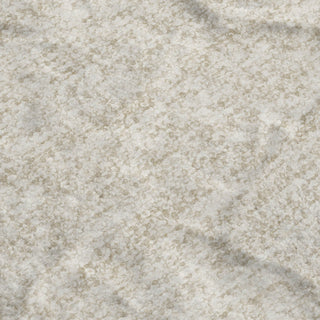 Dalyn Voyage VY2 Linen Machine Washable Area Rug Swatch Image