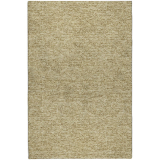 Dalyn Voyage VY2 Walnut Machine Washable Area Rug main image