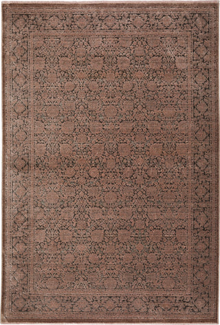 Dalyn Vizcia VZ1 Brown Area Rug