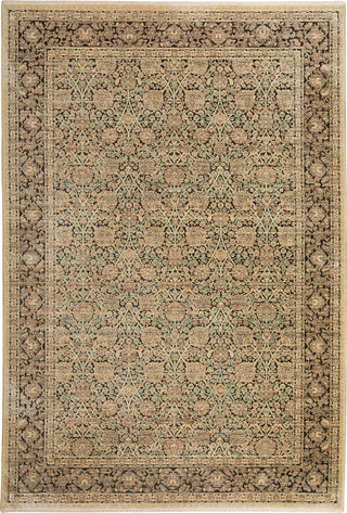 Dalyn Vizcia VZ1 Honey Area Rug