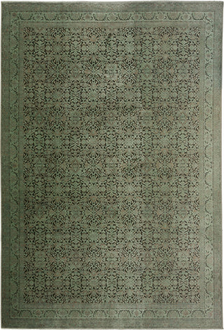 Dalyn Vizcia VZ2 Green Area Rug