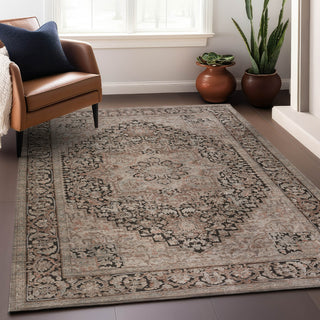 Dalyn Vizcia VZ3 Gray Area Rug Lifestyle Image Feature