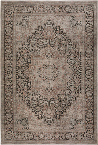 Dalyn Vizcia VZ3 Gray Area Rug