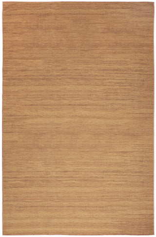 Nourison Washable Essentials WAE01 Copper Area Rug Main Image