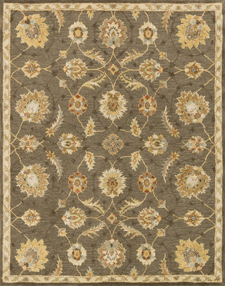 Loloi Walden WD-06 Coffee / Beige Area Rug main image
